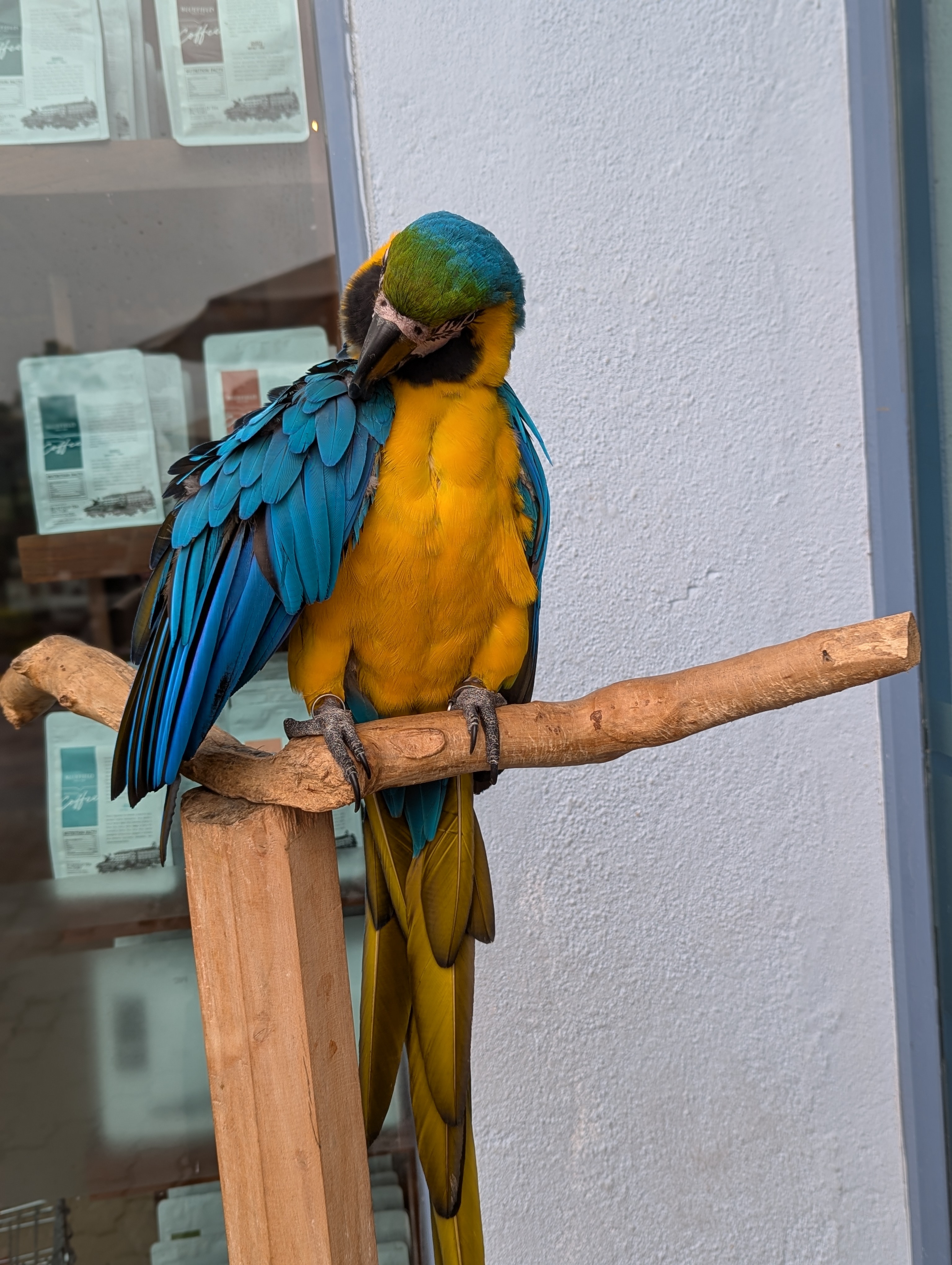 Sri Lanka gallery photo