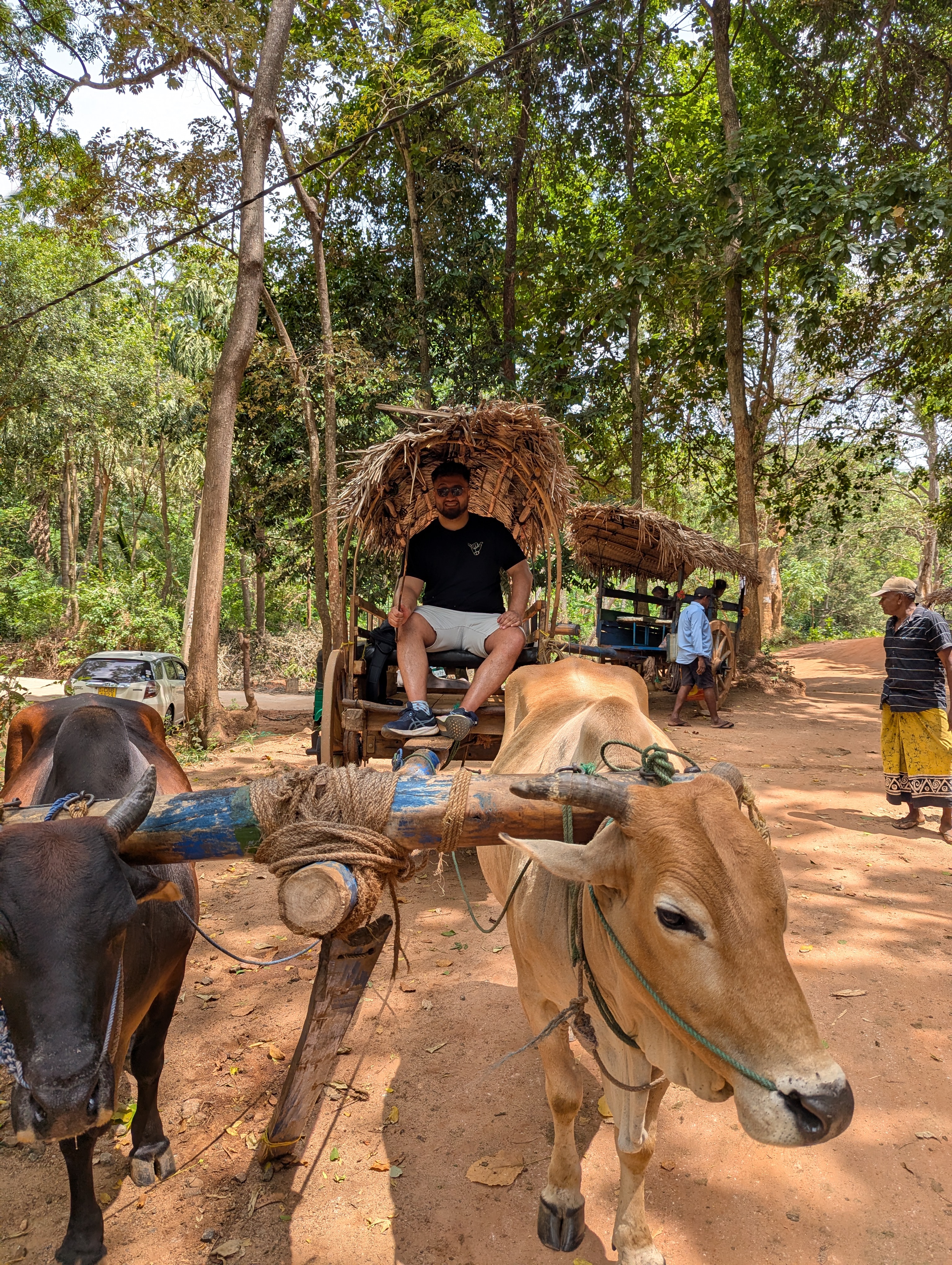 Sri Lanka gallery photo