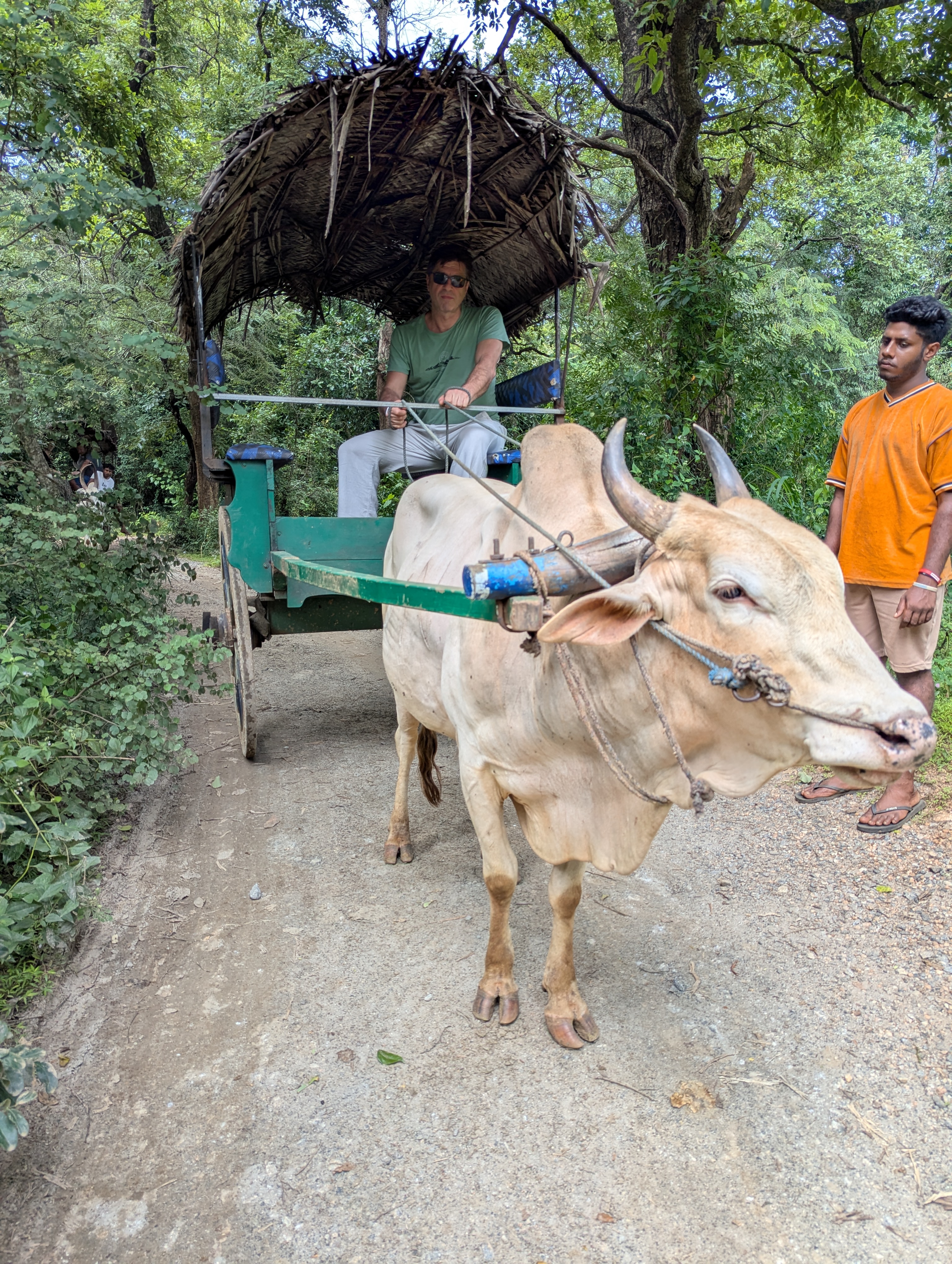 Sri Lanka gallery photo