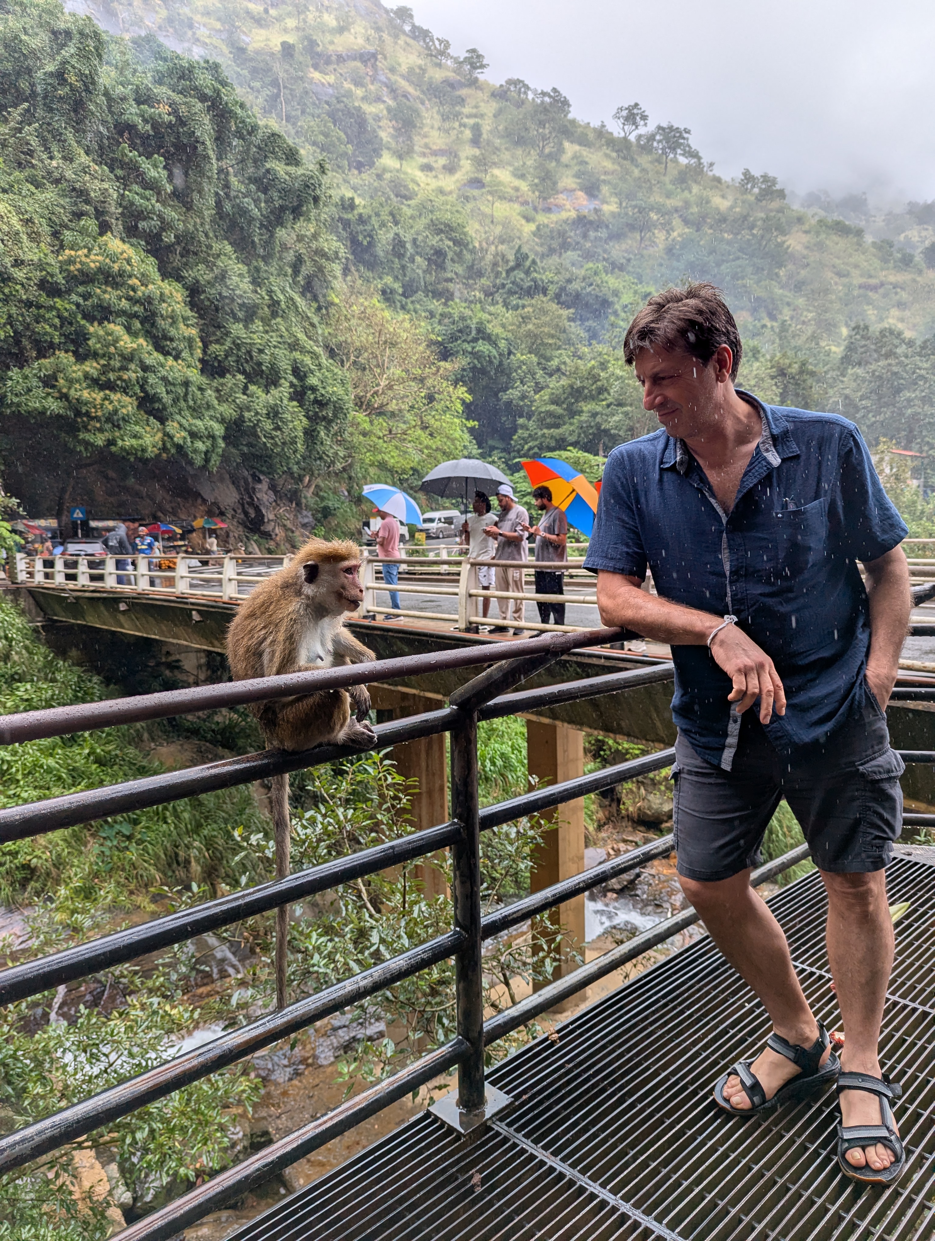 Sri Lanka gallery photo