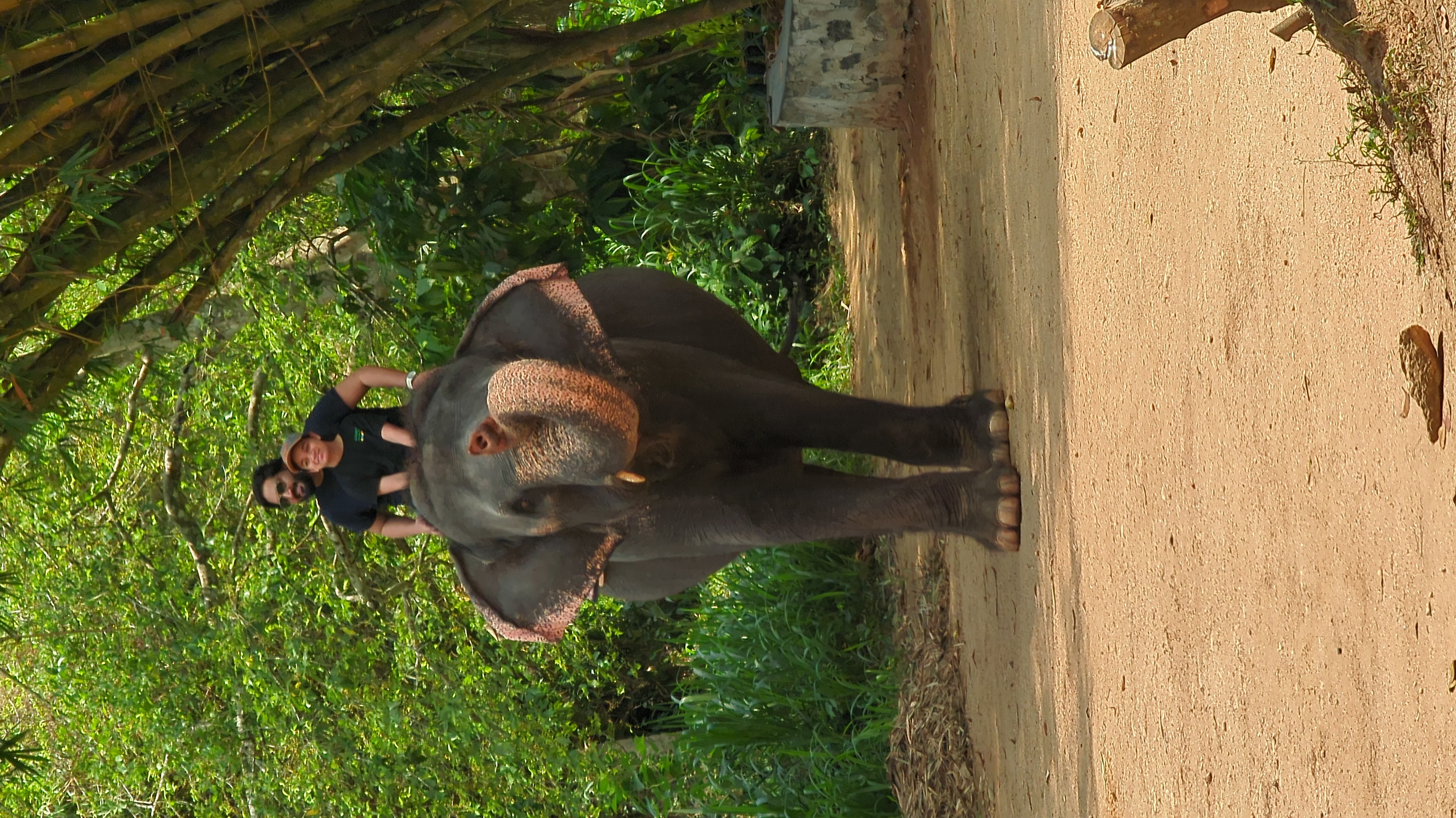Sri Lanka gallery photo