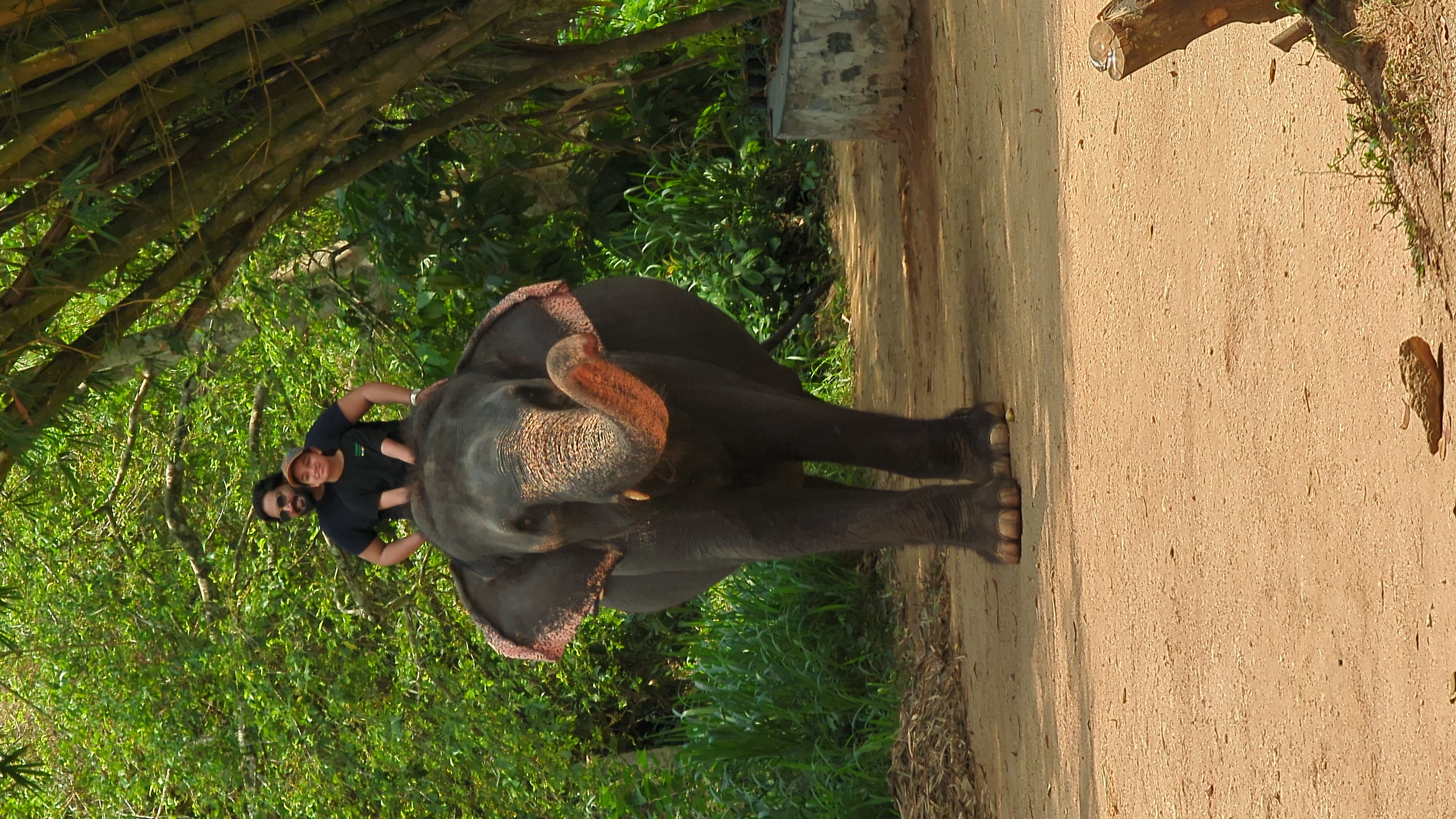 Sri Lanka gallery photo