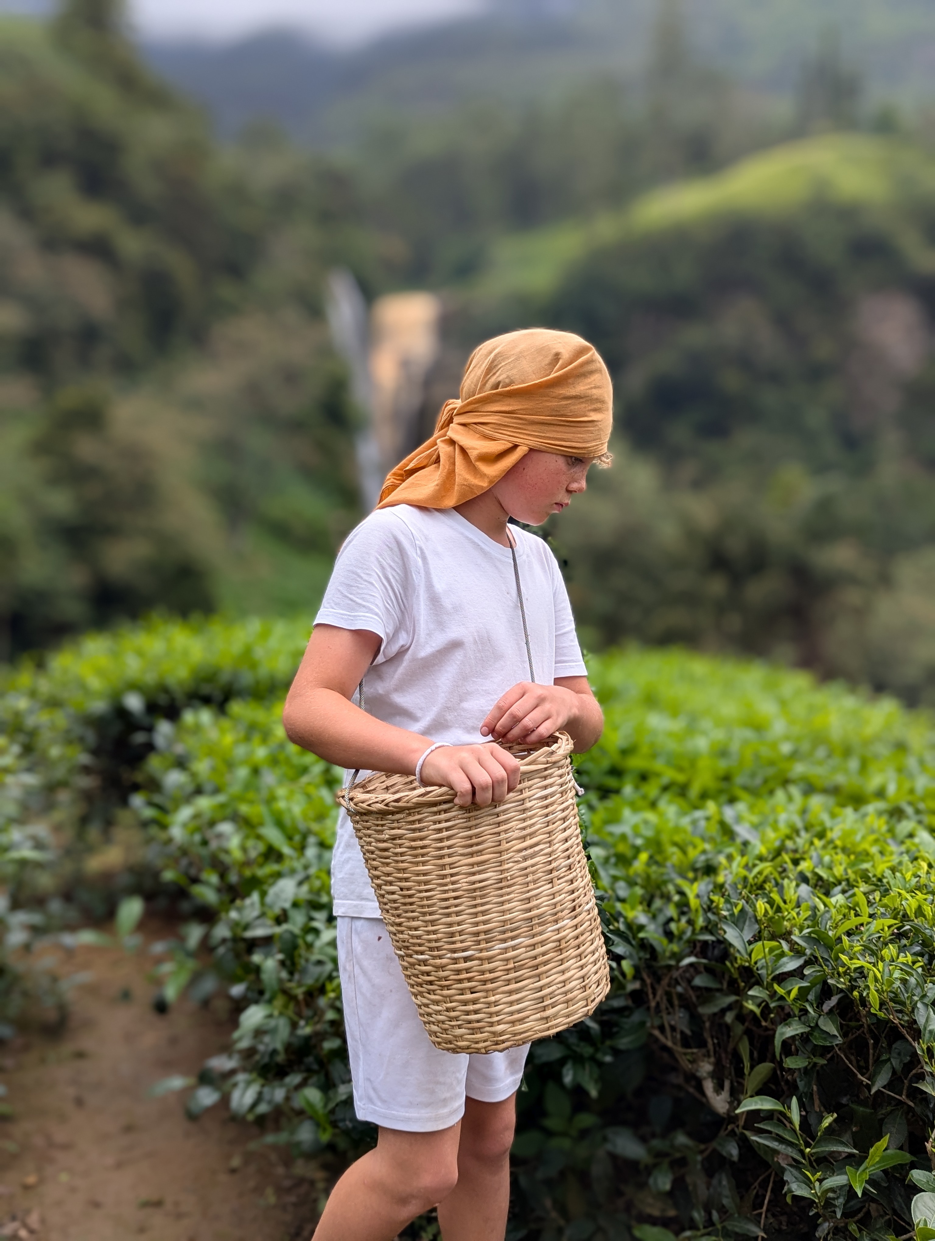 Sri Lanka gallery photo