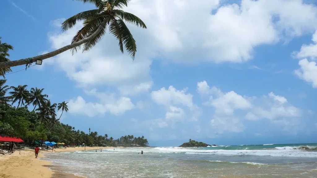 Palm-fringed sand and turquoise water at Mirissa beach